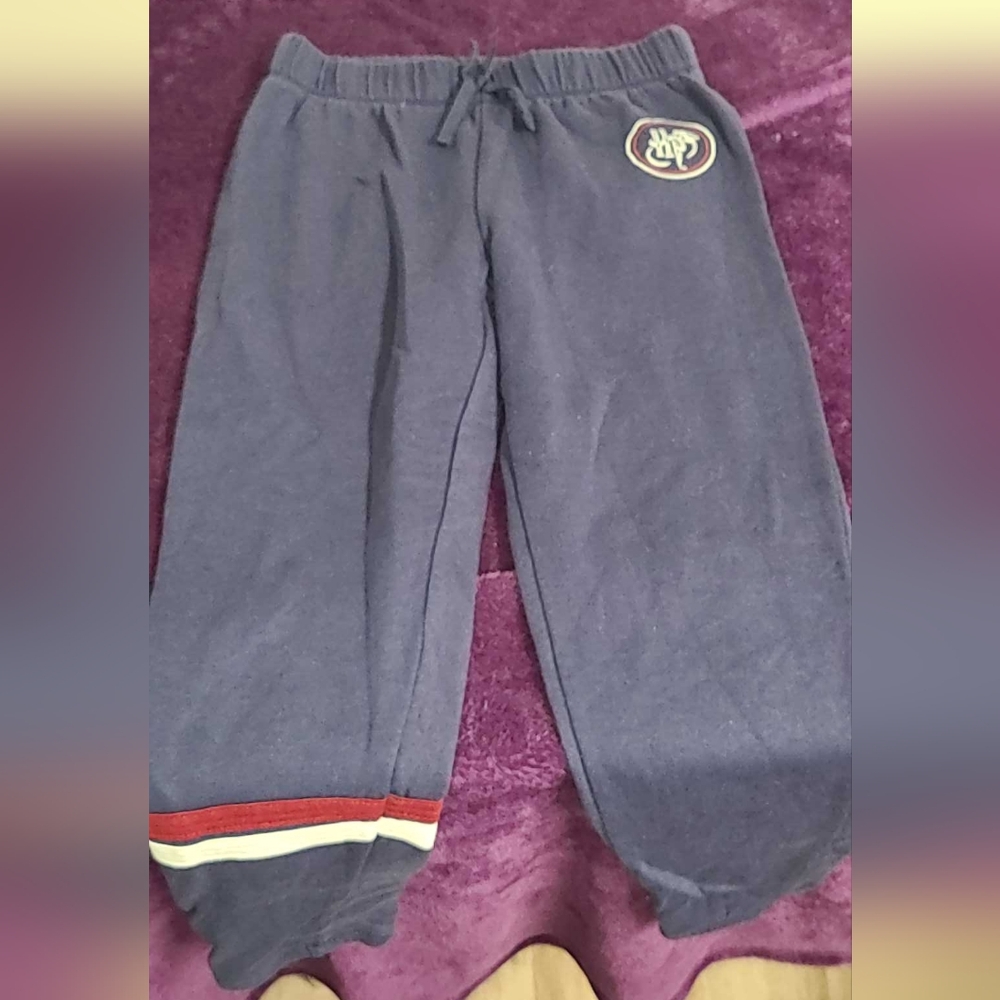 Boy's Harry Potter Sweatpants, Size Large (10/12)